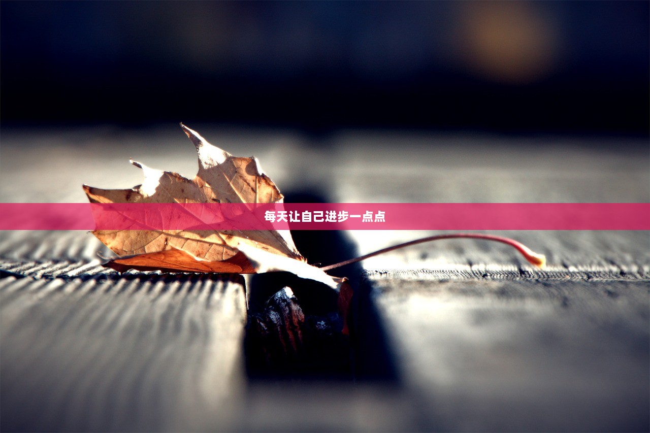 每天让自己进步一点点
