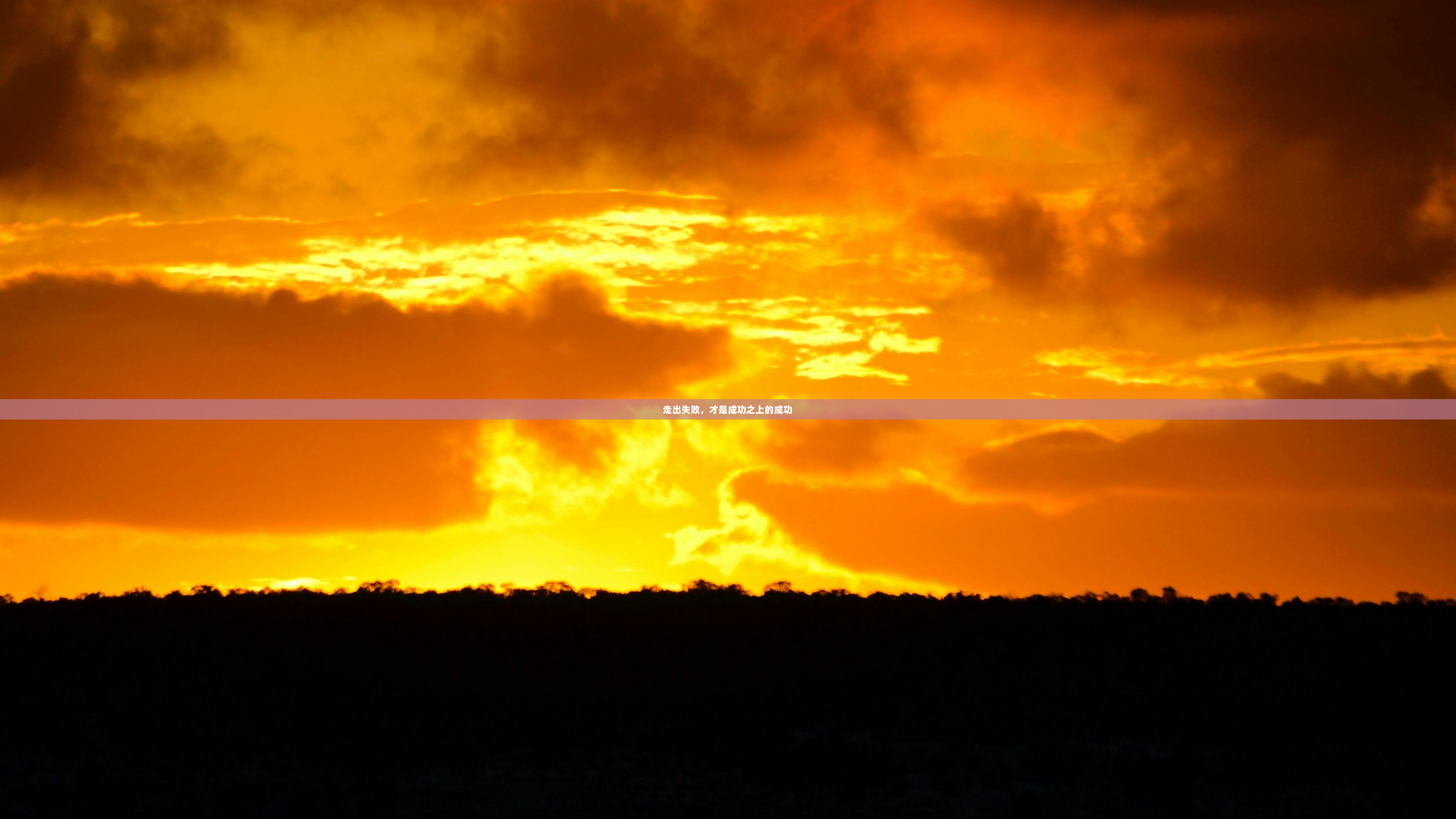 走出失败，才是成功之上的成功