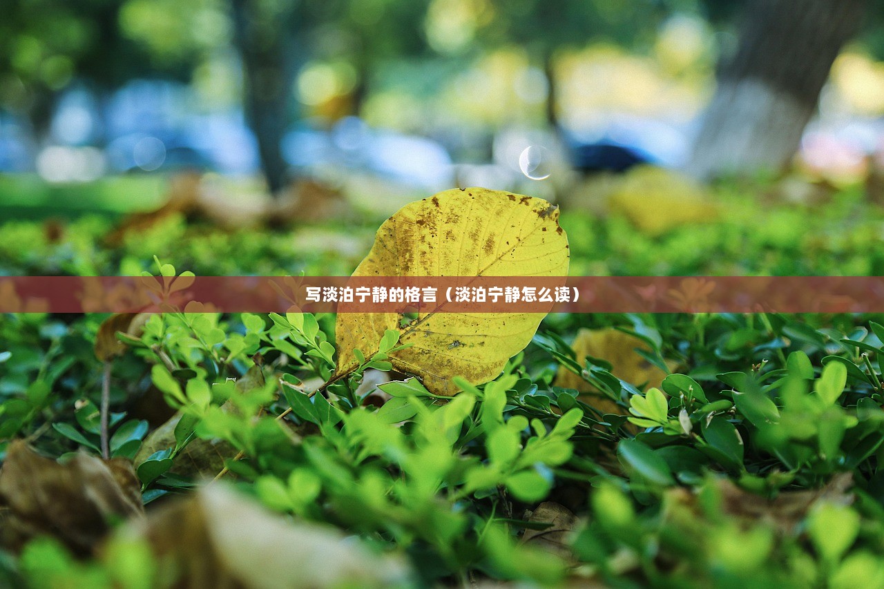 写淡泊宁静的格言（淡泊宁静怎么读）