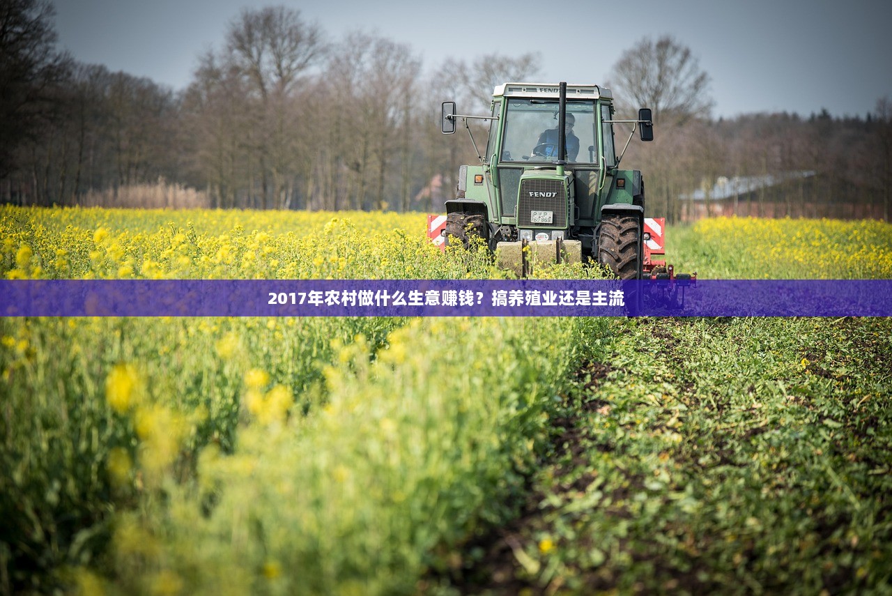 2017年农村做什么生意赚钱？搞养殖业还是主流