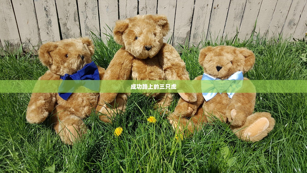 成功路上的三只虎