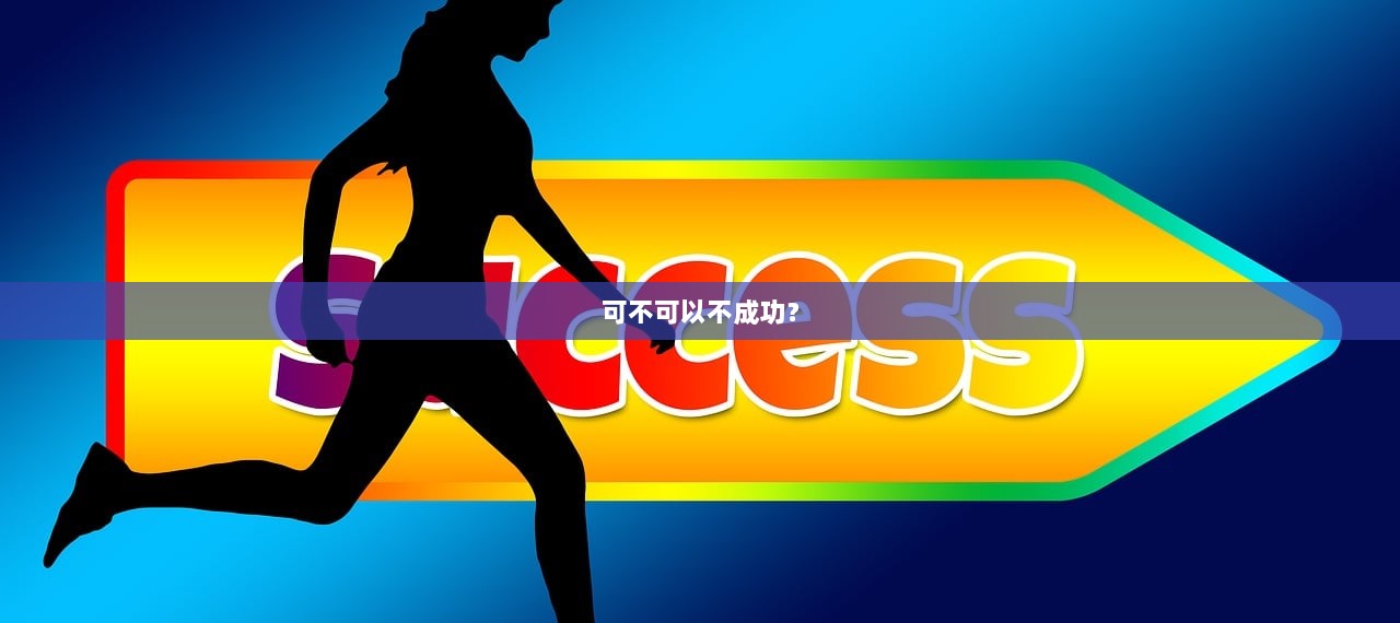 可不可以不成功？
