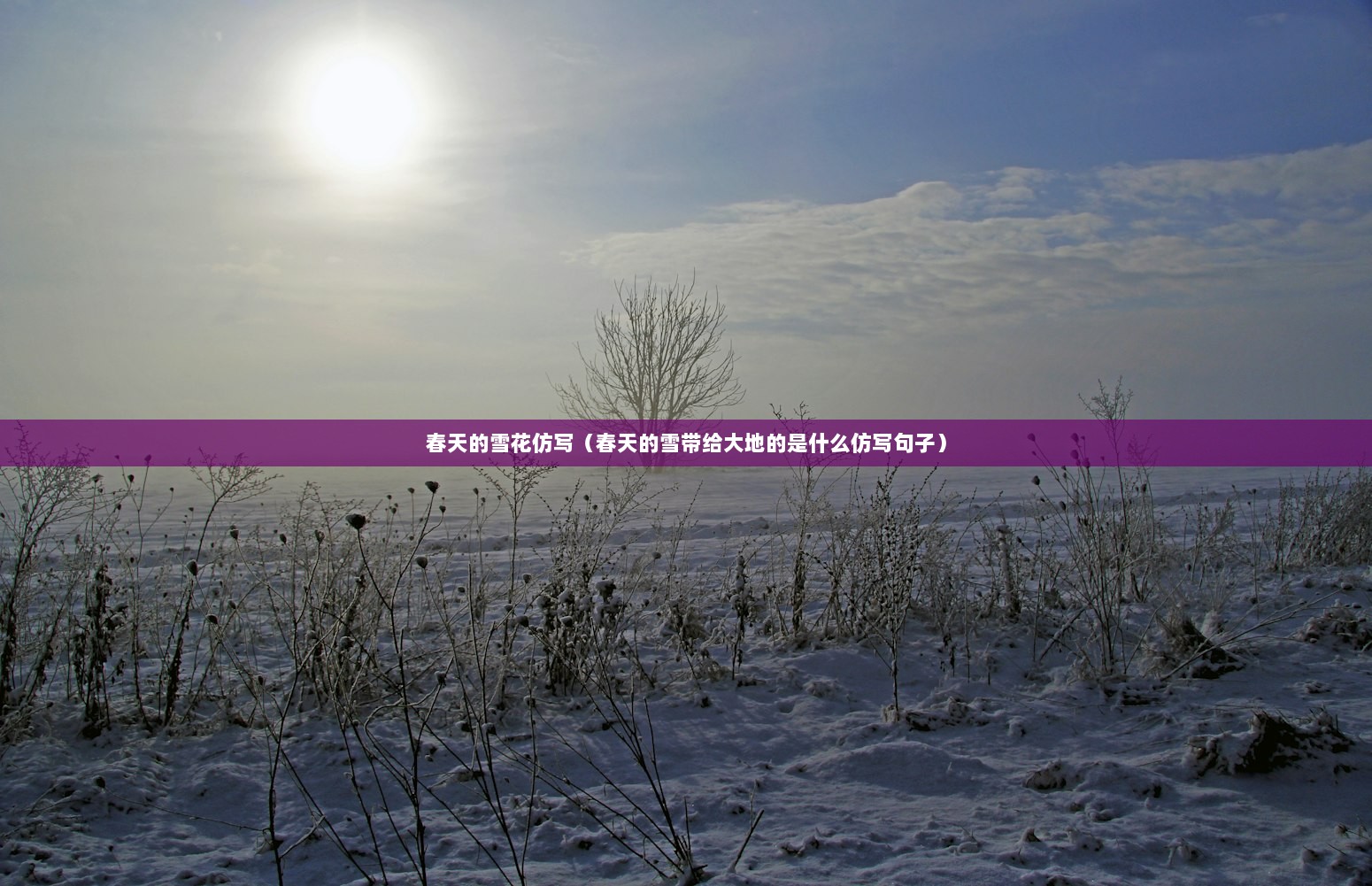春天的雪花仿写（春天的雪带给大地的是什么仿写句子）