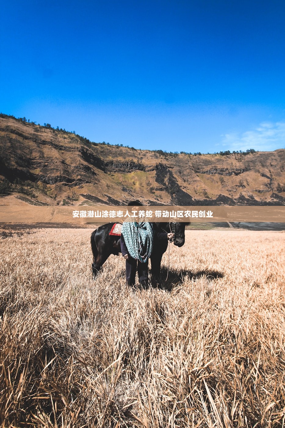安徽潜山涂德志人工养蛇 带动山区农民创业