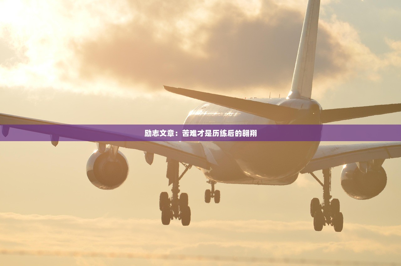 励志文章：苦难才是历练后的翱翔