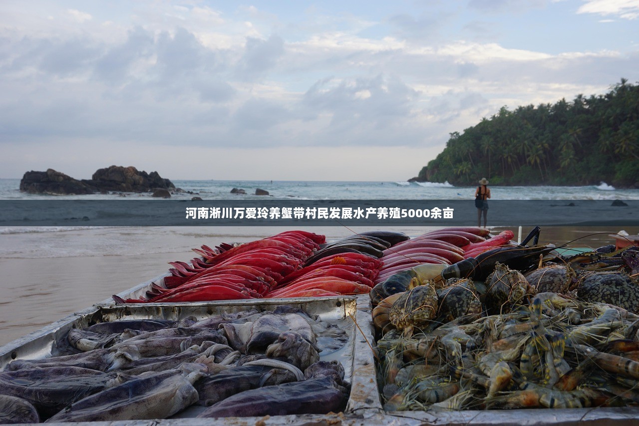 河南淅川万爱玲养蟹带村民发展水产养殖5000余亩