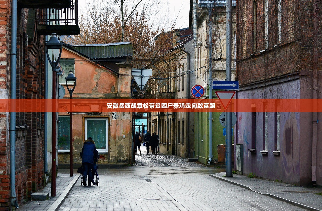 安徽岳西胡章松带贫困户养鸡走向致富路