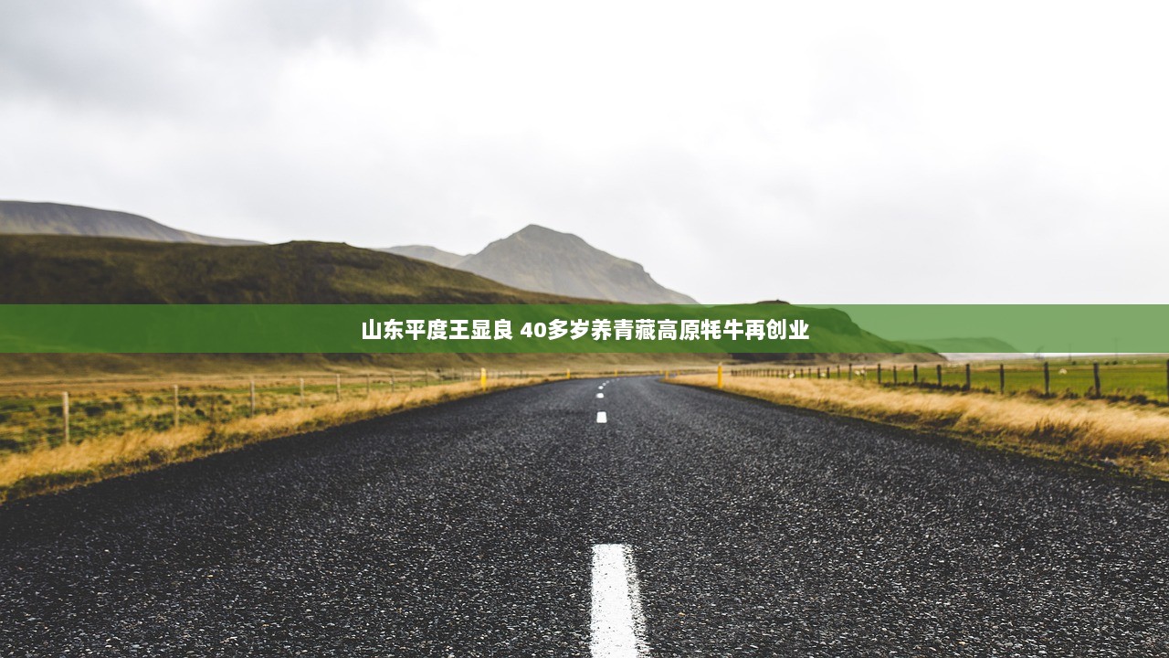 山东平度王显良 40多岁养青藏高原牦牛再创业