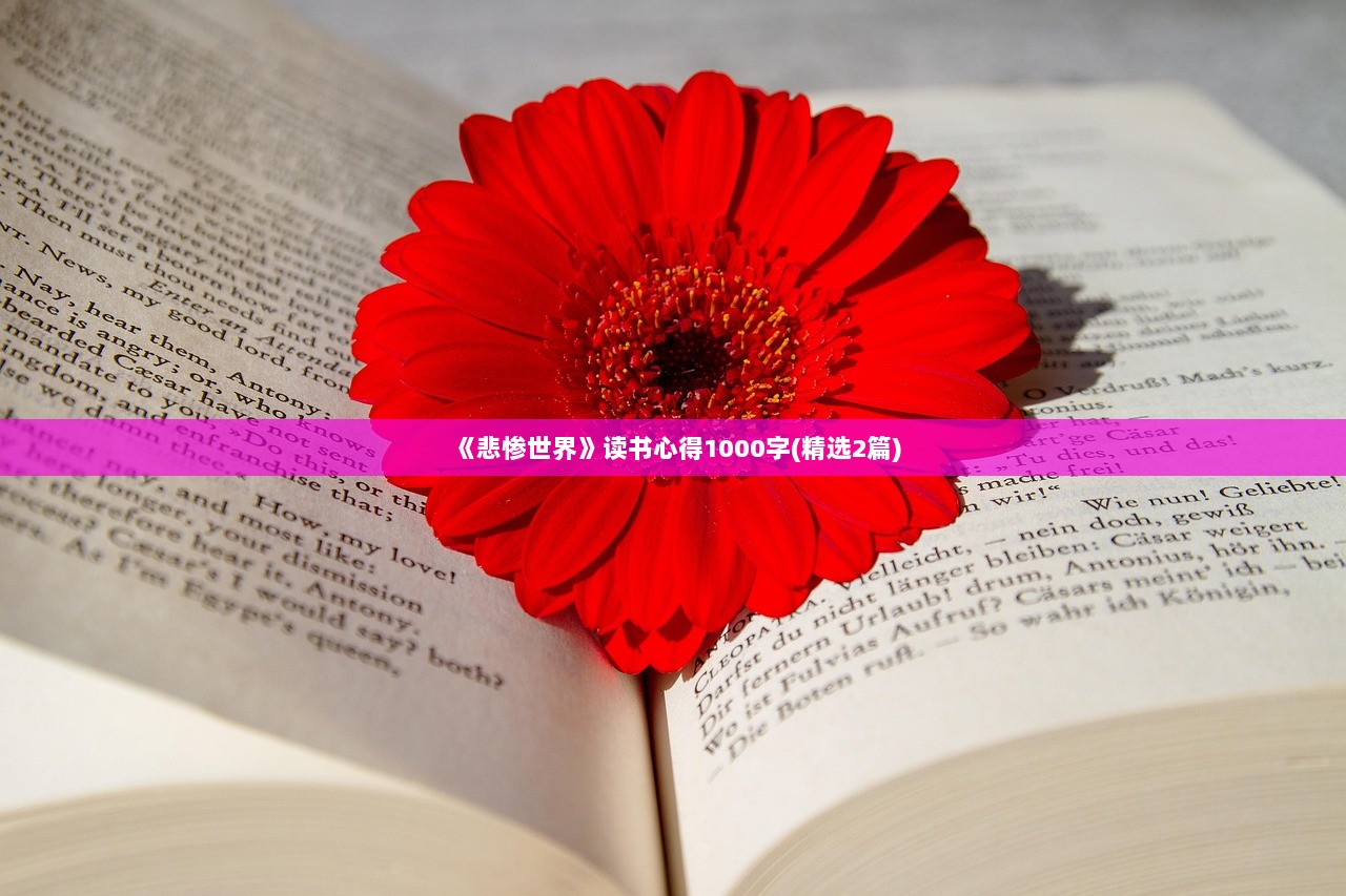 《悲惨世界》读书心得1000字(精选2篇) 第1张 《悲惨世界》读书心得1000字(精选2篇) 第1张