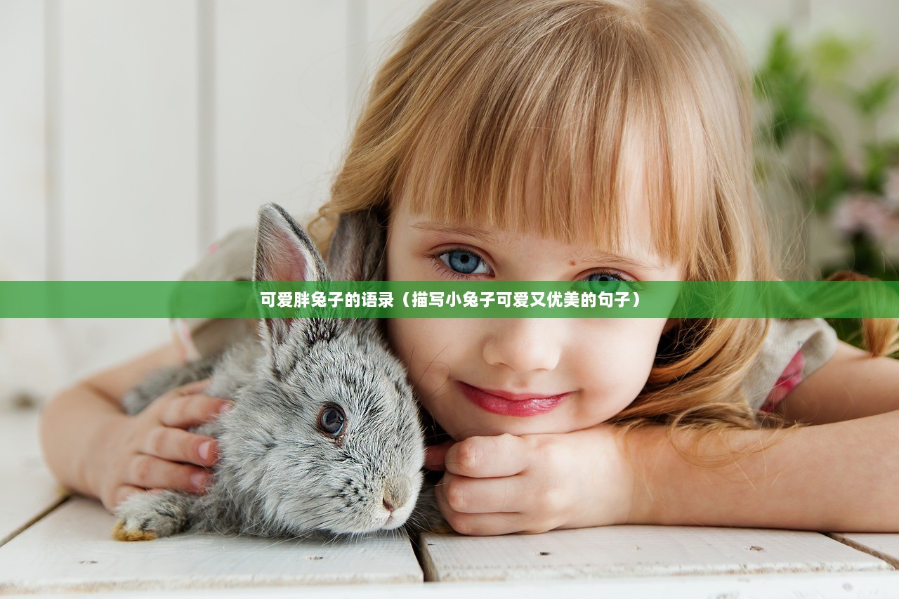 可爱胖兔子的语录（描写小兔子可爱又优美的句子）