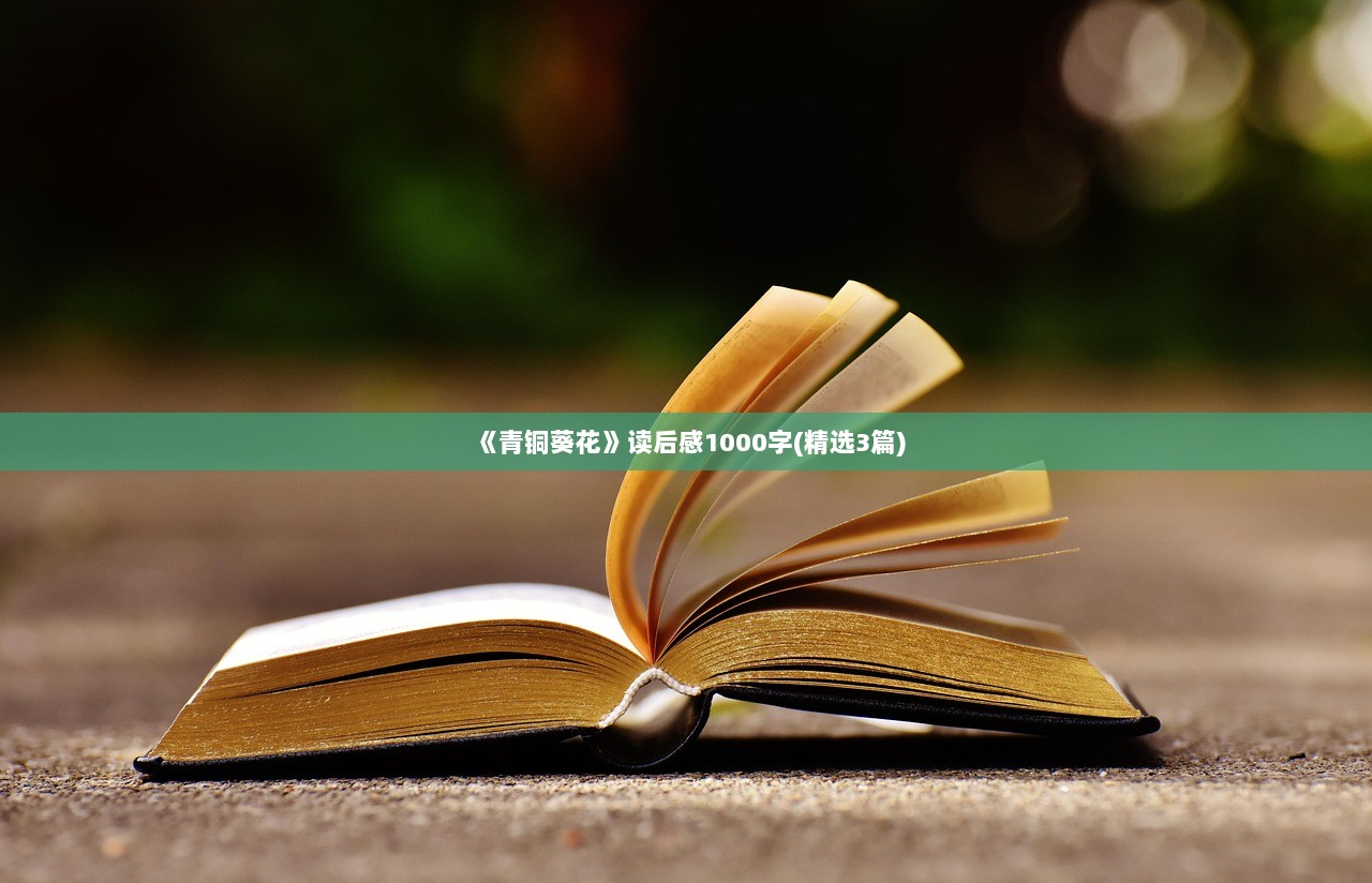 《青铜葵花》读后感1000字(精选3篇) 第1张 《青铜葵花》读后感1000字(精选3篇) 第1张
