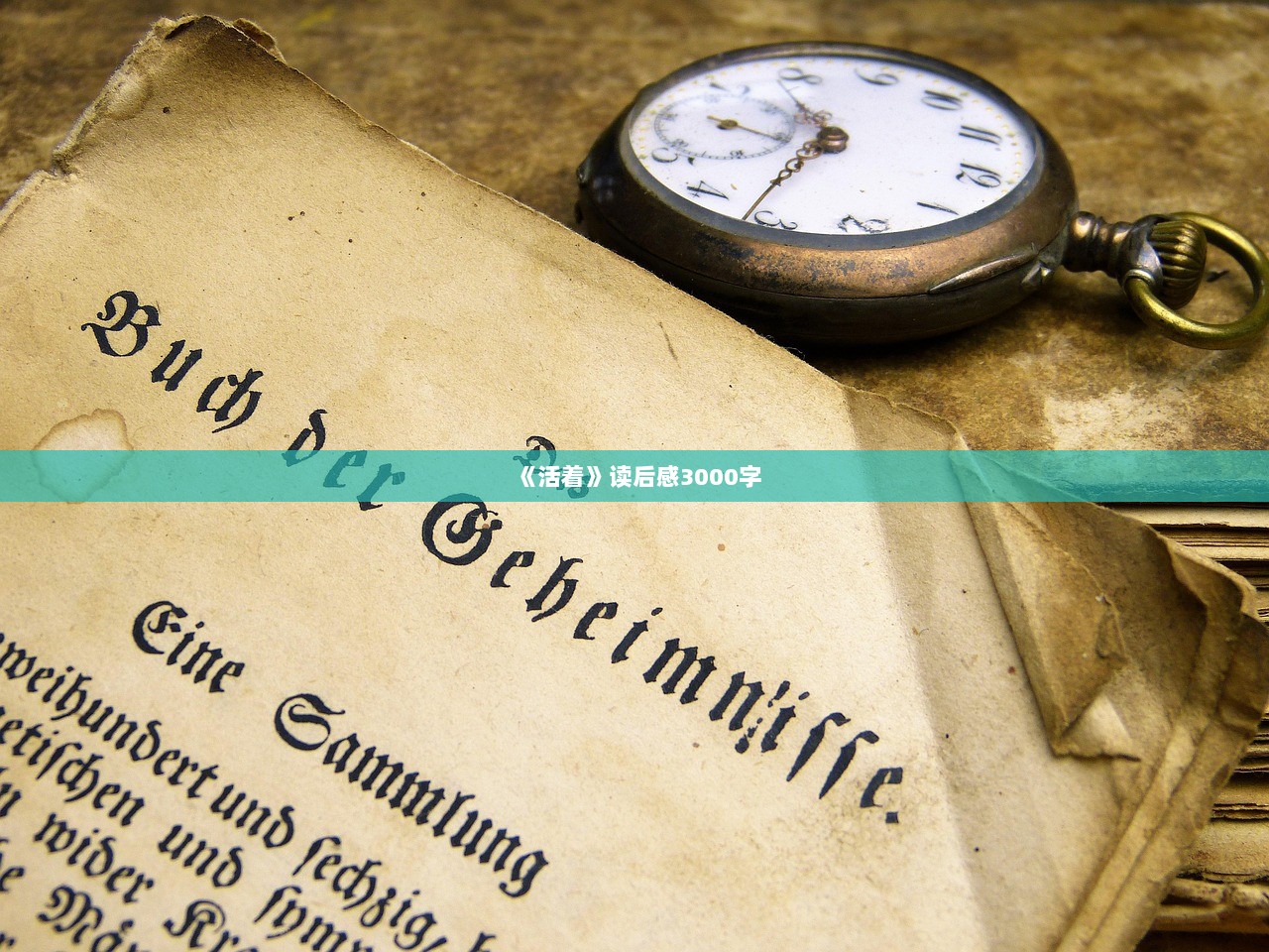 《活着》读后感3000字  第1张