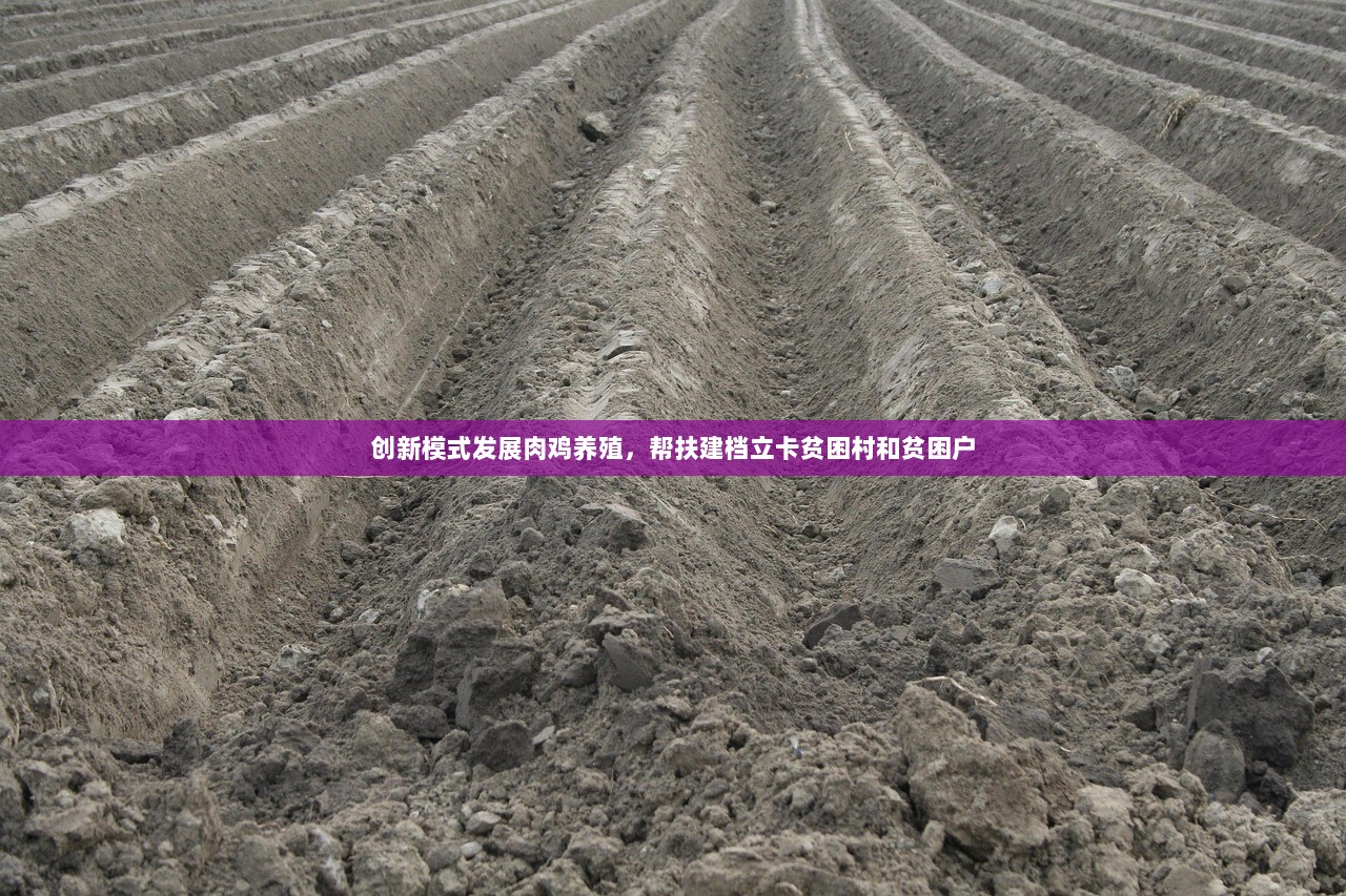 创新模式发展肉鸡养殖，帮扶建档立卡贫困村和贫困户