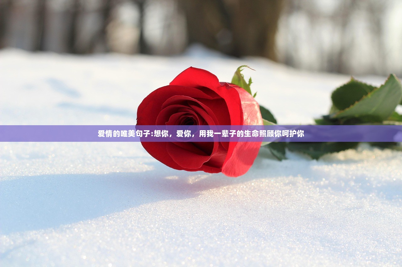 爱情的唯美句子:想你，爱你，用我一辈子的生命照顾你呵护你