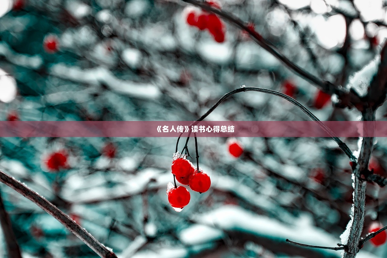 《名人传》读书心得总结