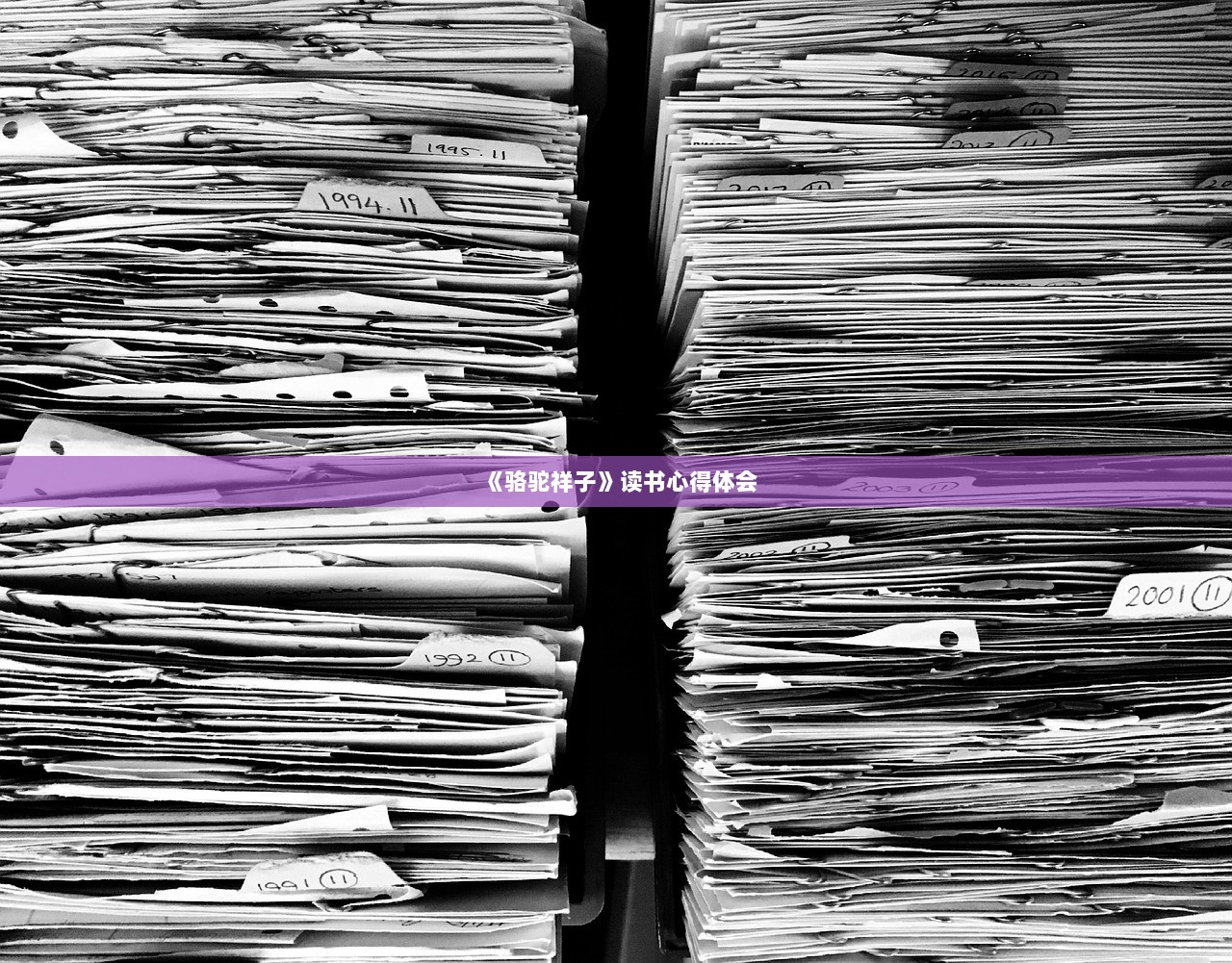 《骆驼祥子》读书心得体会