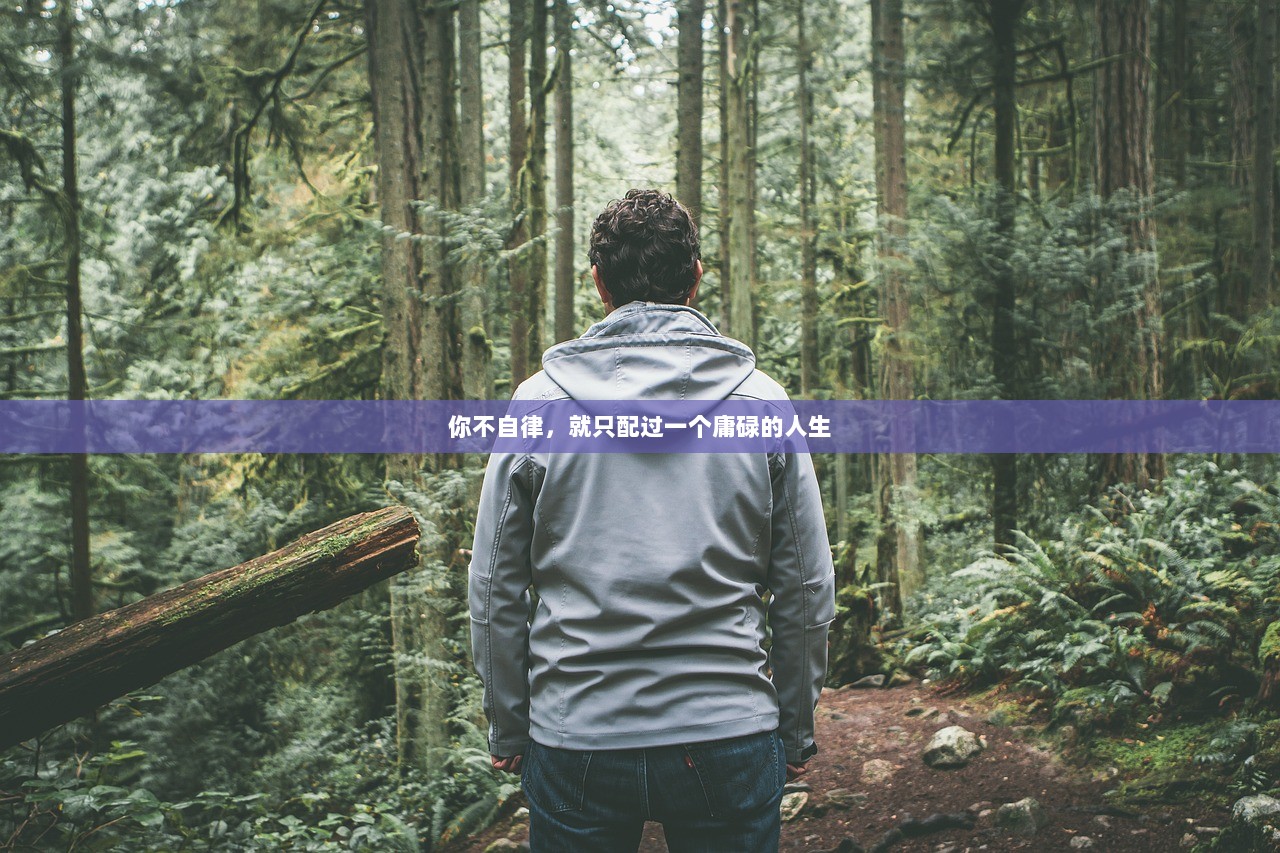 你不自律，就只配过一个庸碌的人生  第1张