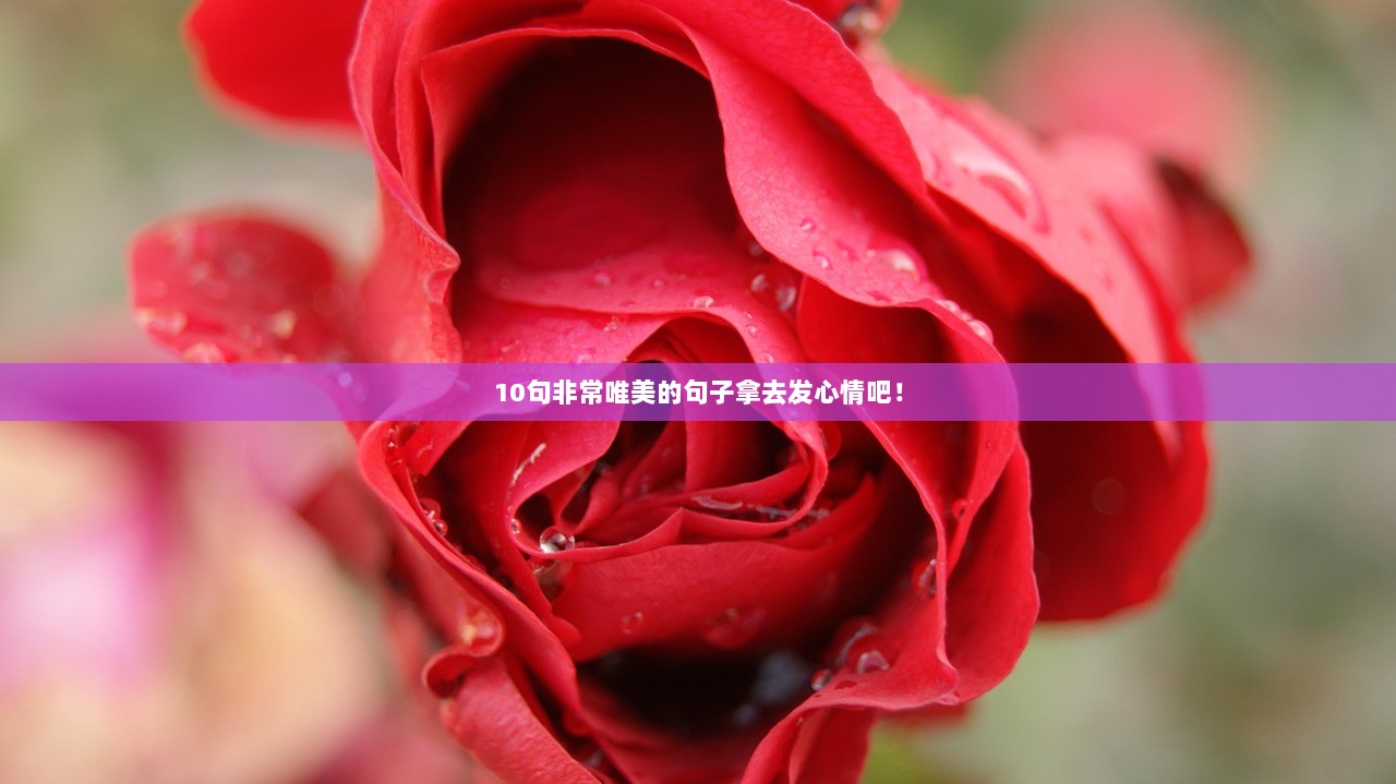 10句非常唯美的句子拿去发心情吧！