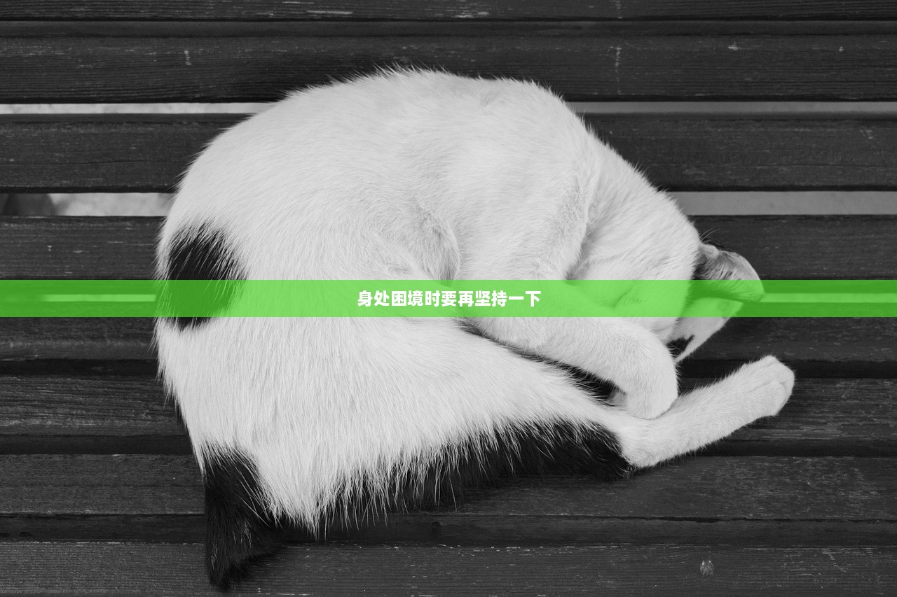 身处困境时要再坚持一下