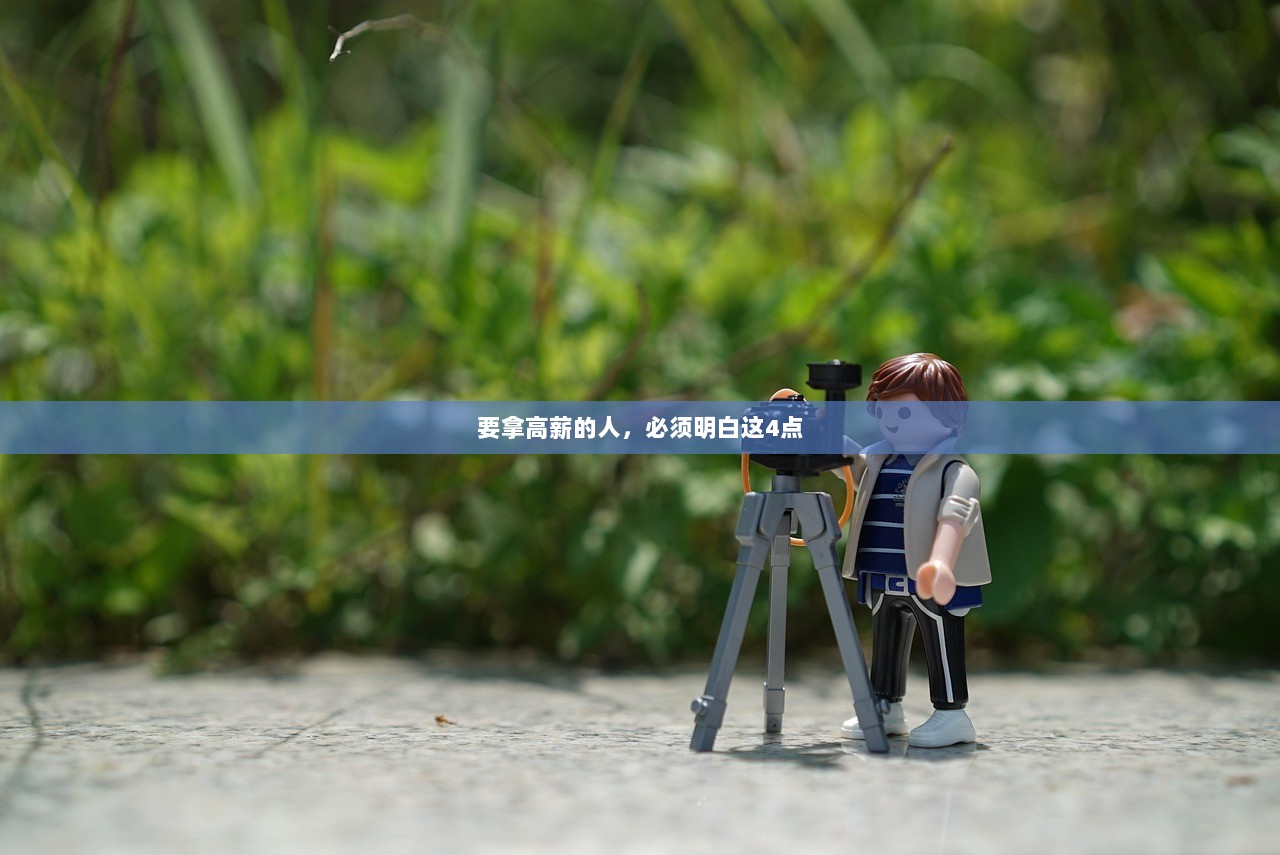 要拿高薪的人，必须明白这4点  第1张