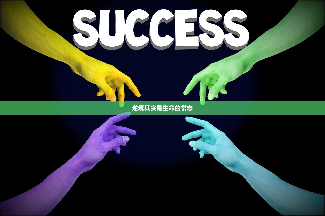 逆境其实是生命的常态
