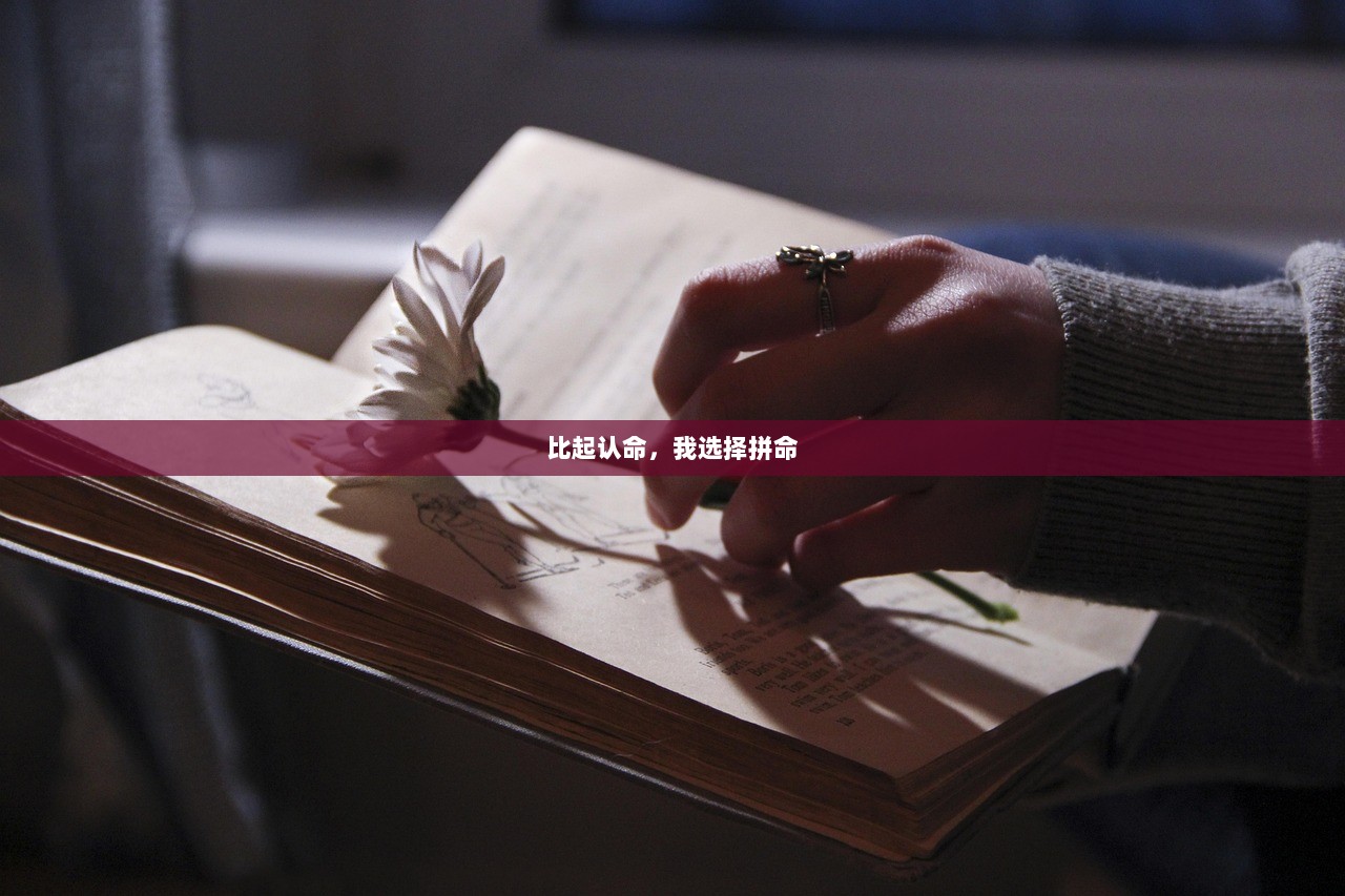 比起认命，我选择拼命