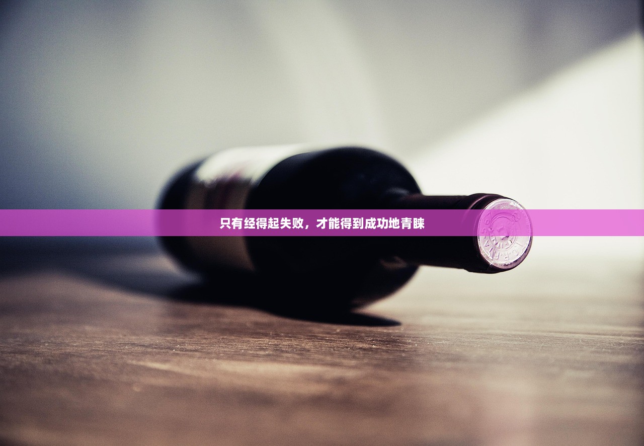 只有经得起失败，才能得到成功地青睐