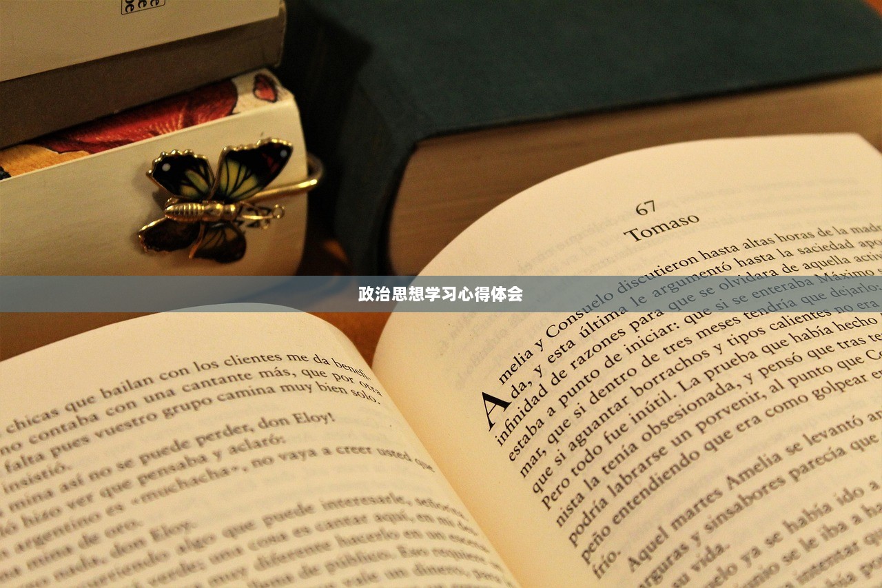 政治思想学习心得体会