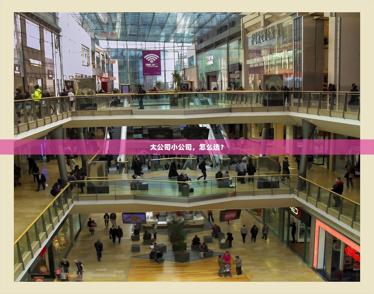 大公司小公司，怎么选？