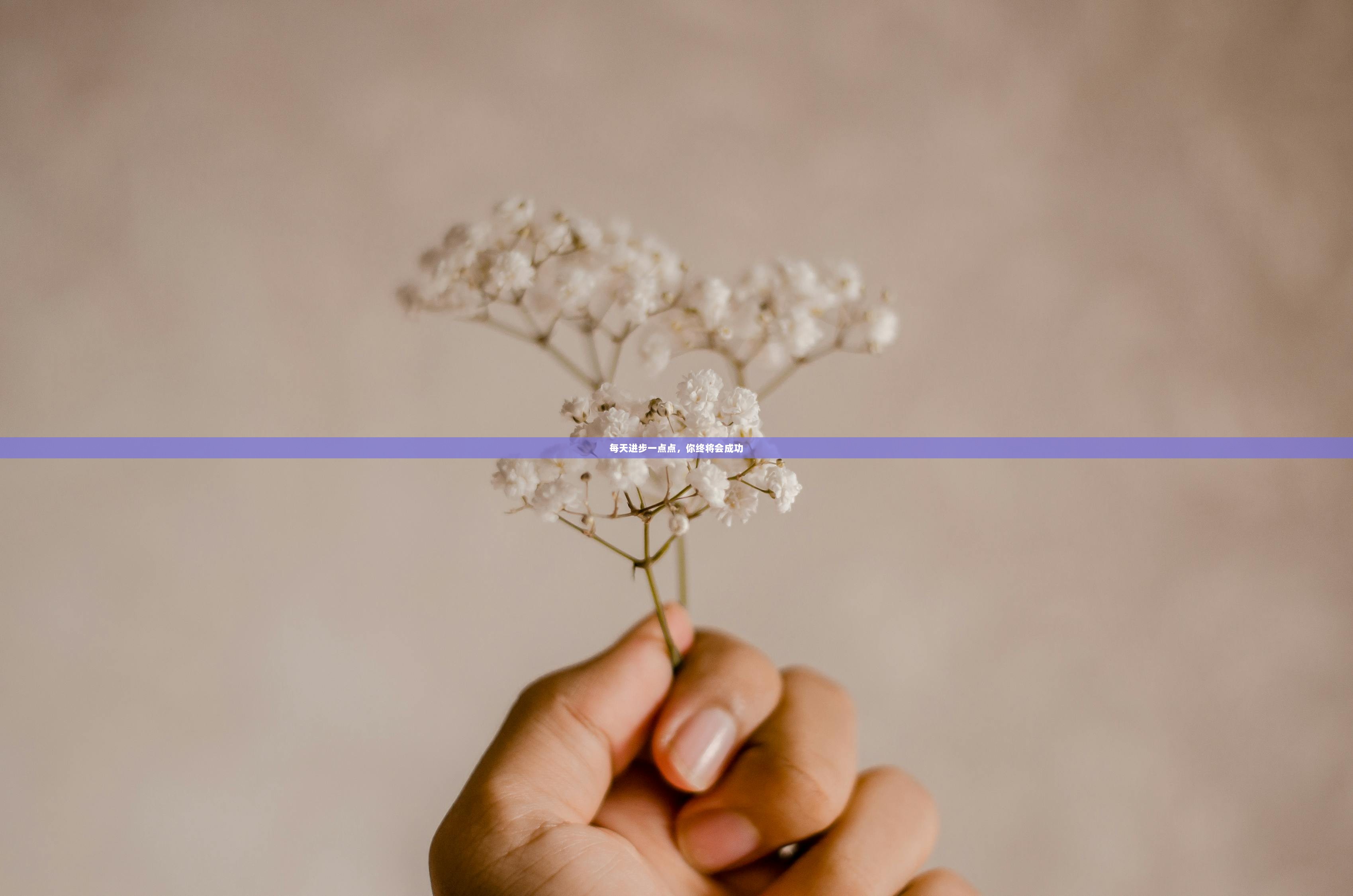 每天进步一点点，你终将会成功