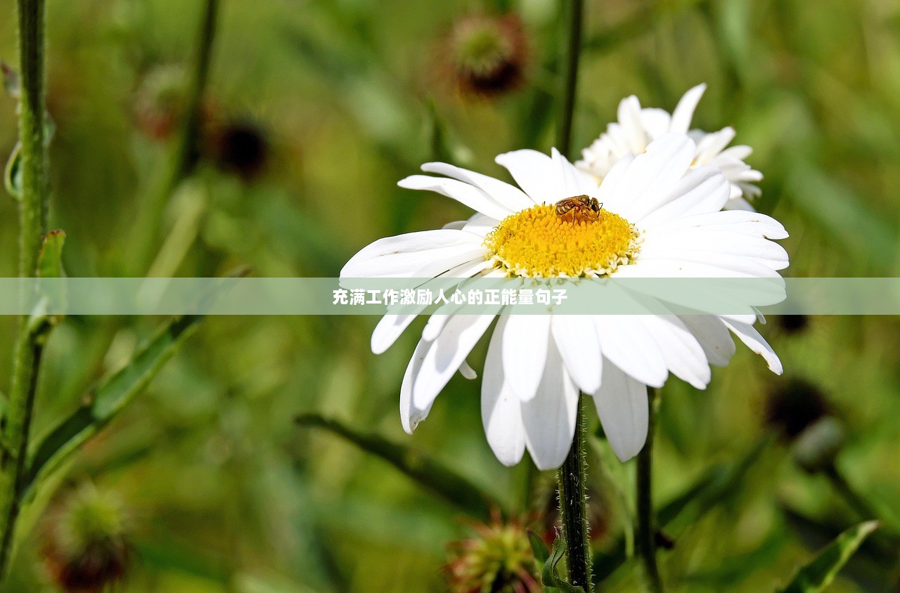 充满工作激励人心的正能量句子
