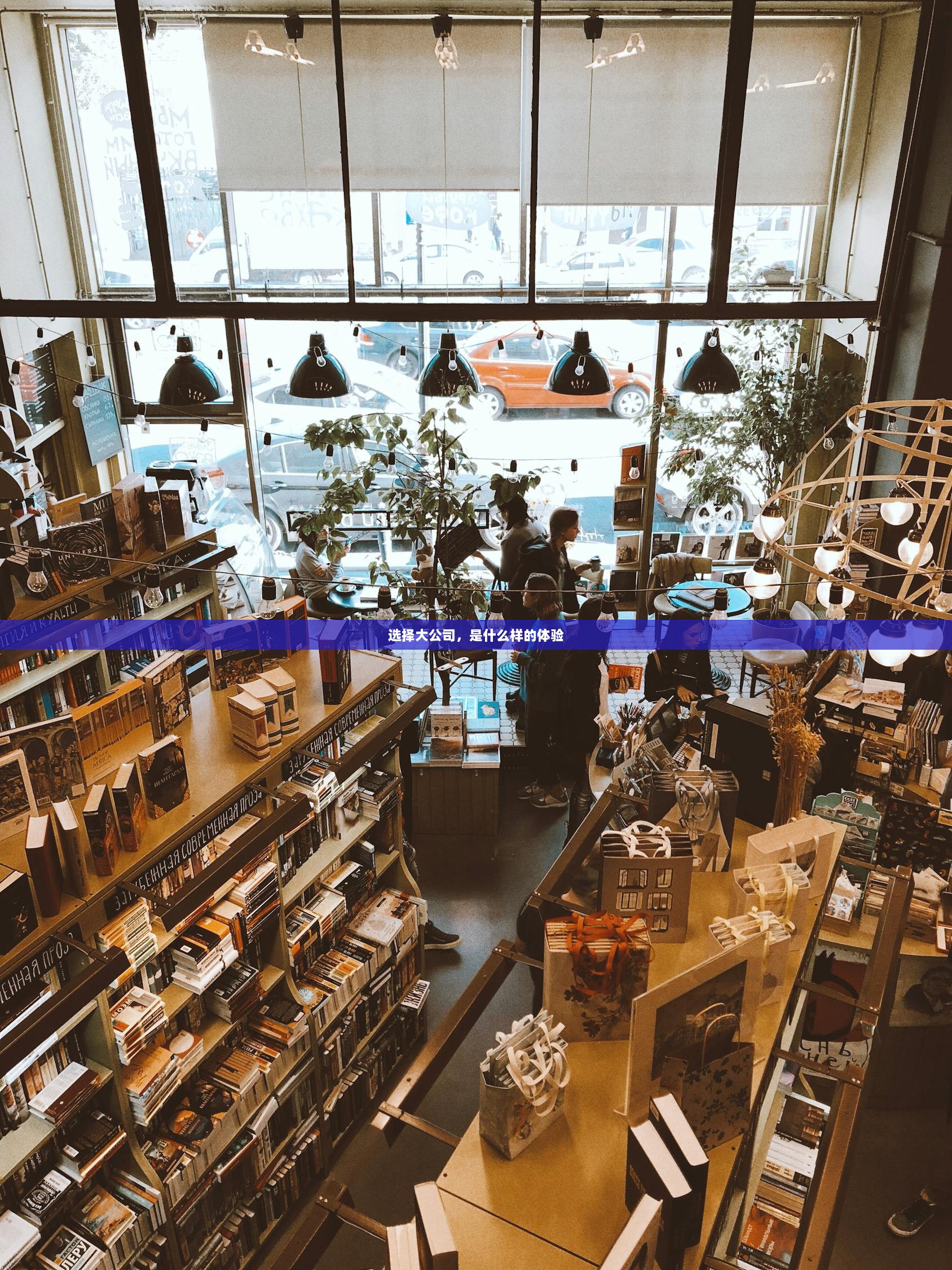 选择大公司，是什么样的体验