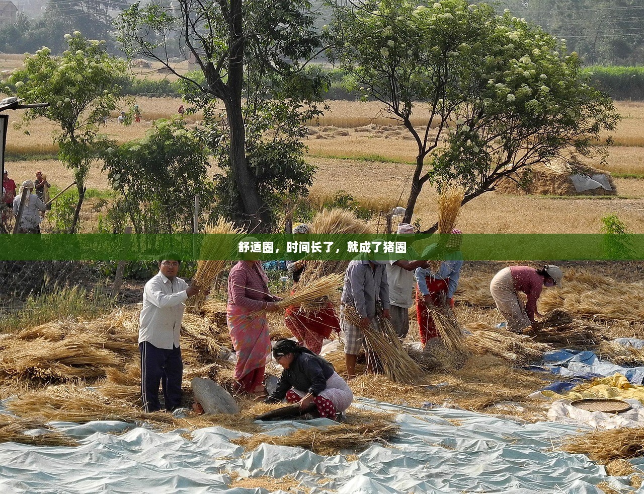 舒适圈，时间长了，就成了猪圈