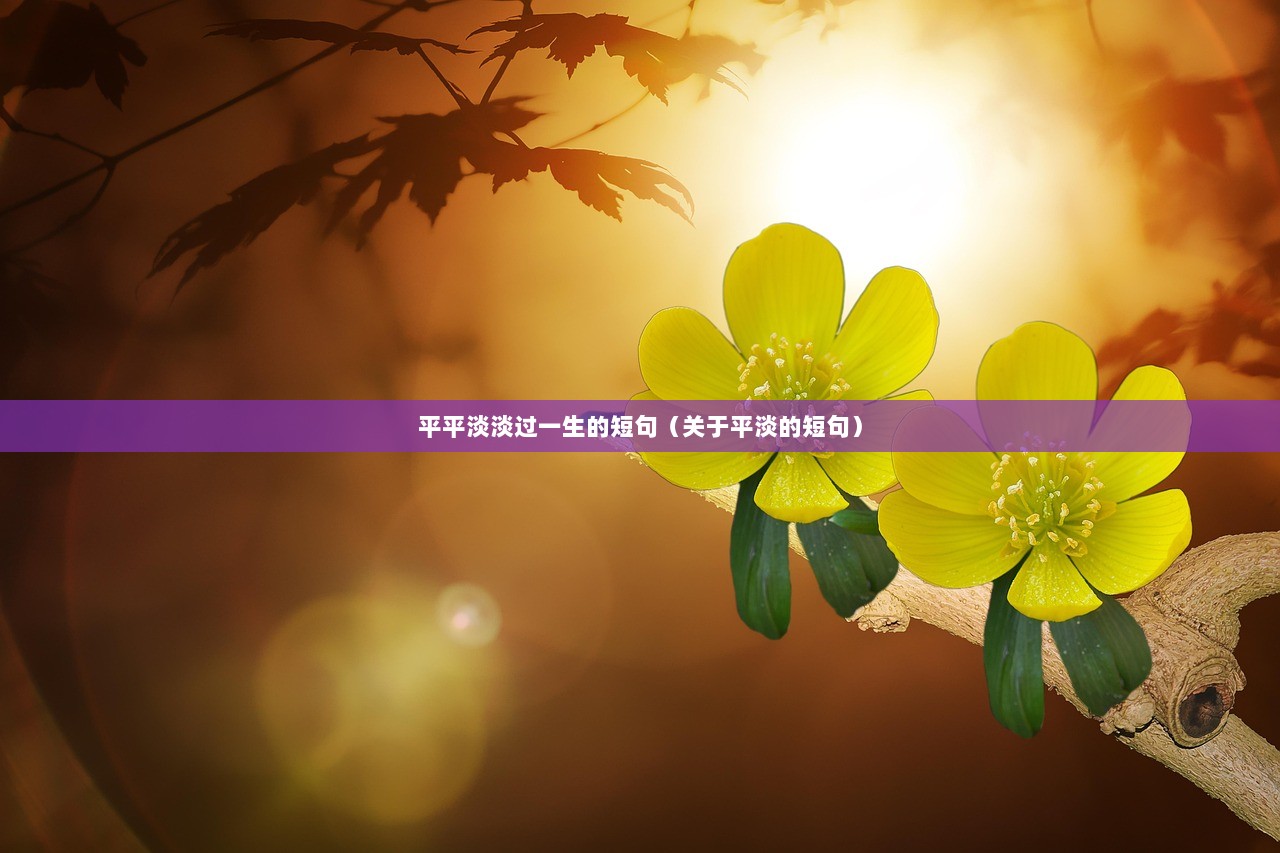 平平淡淡过一生的短句（关于平淡的短句）