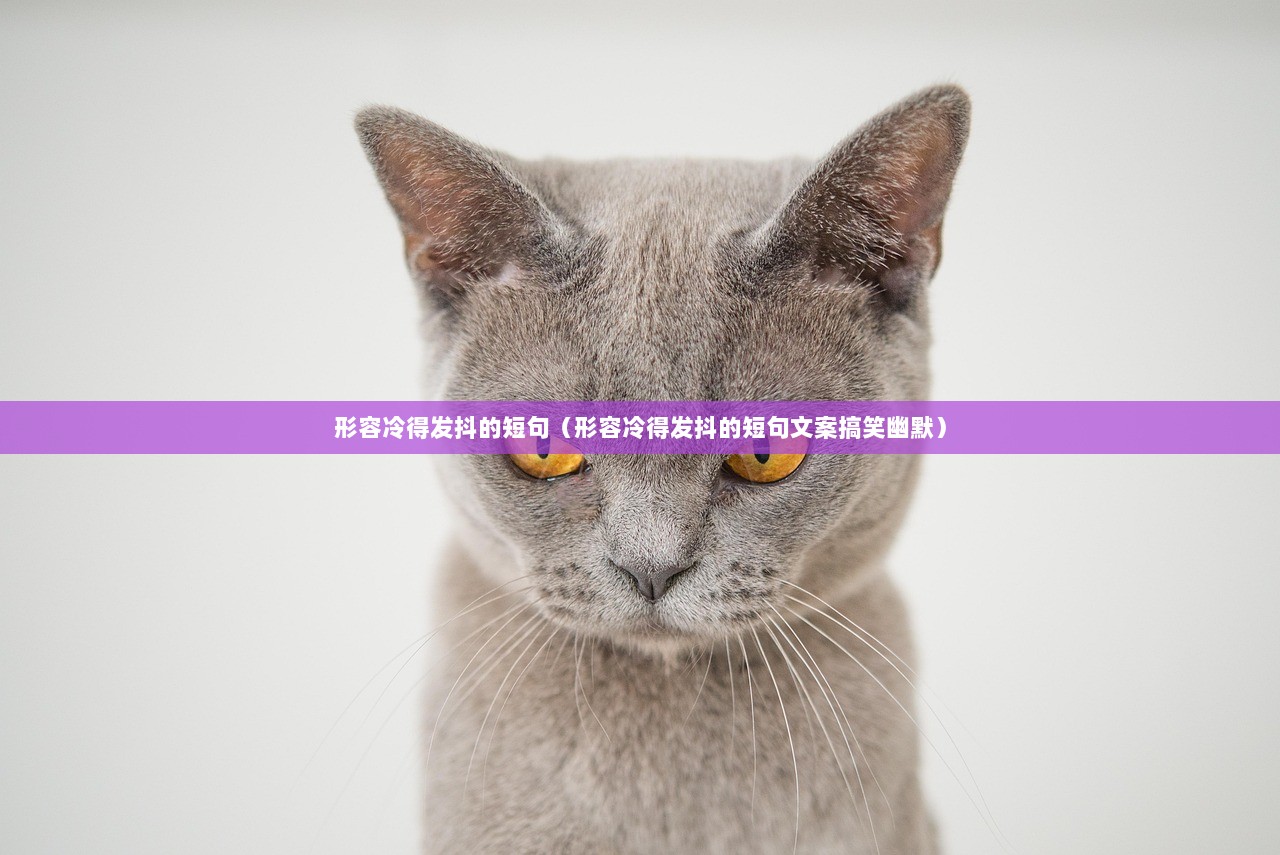 形容冷得发抖的短句（形容冷得发抖的短句文案搞笑幽默）