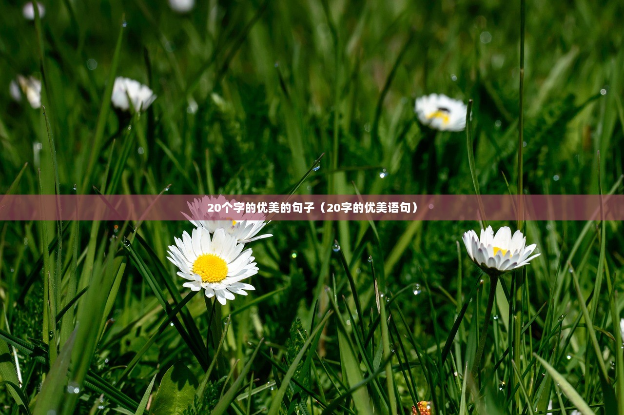 20个字的优美的句子（20字的优美语句）