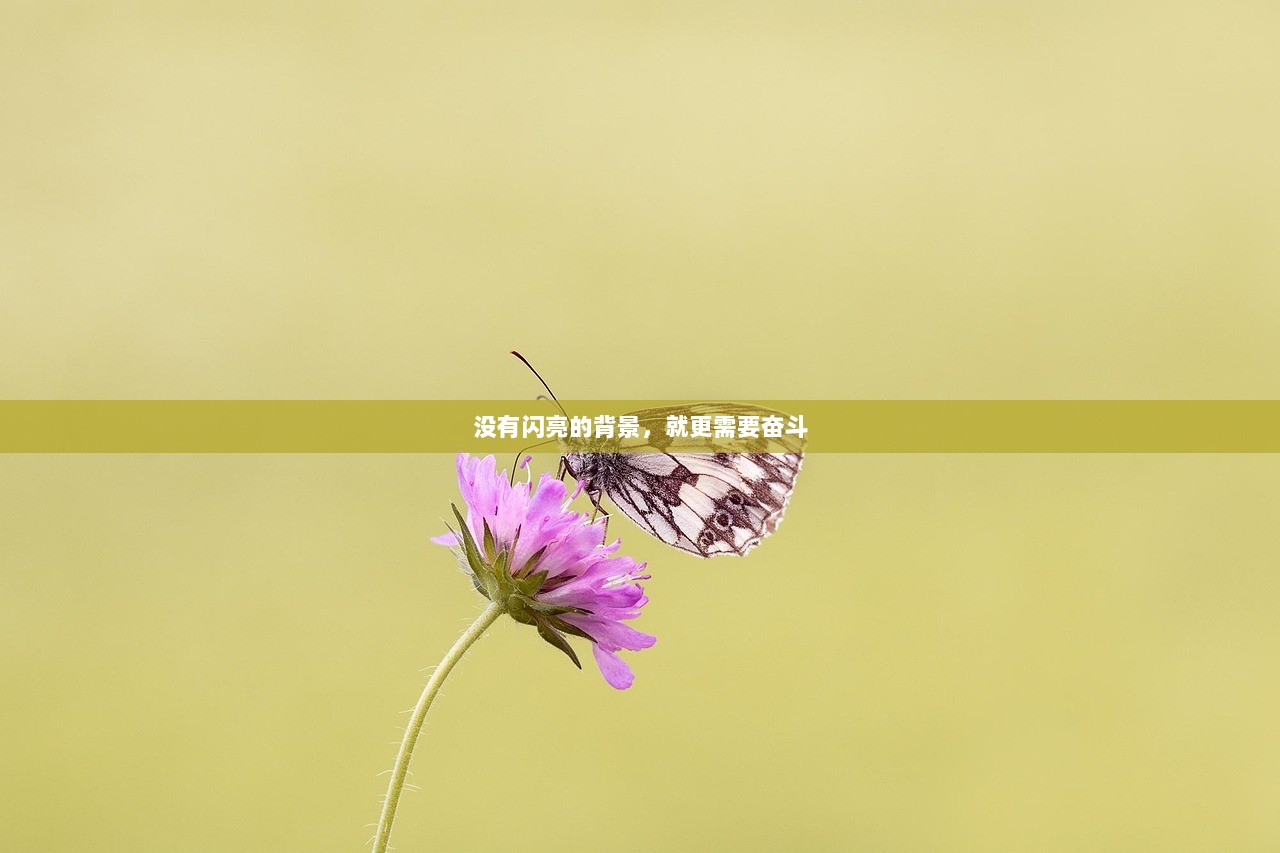 没有闪亮的背景，就更需要奋斗