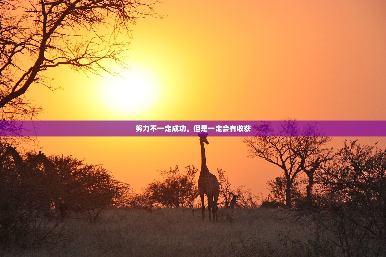 努力不一定成功。但是一定会有收获