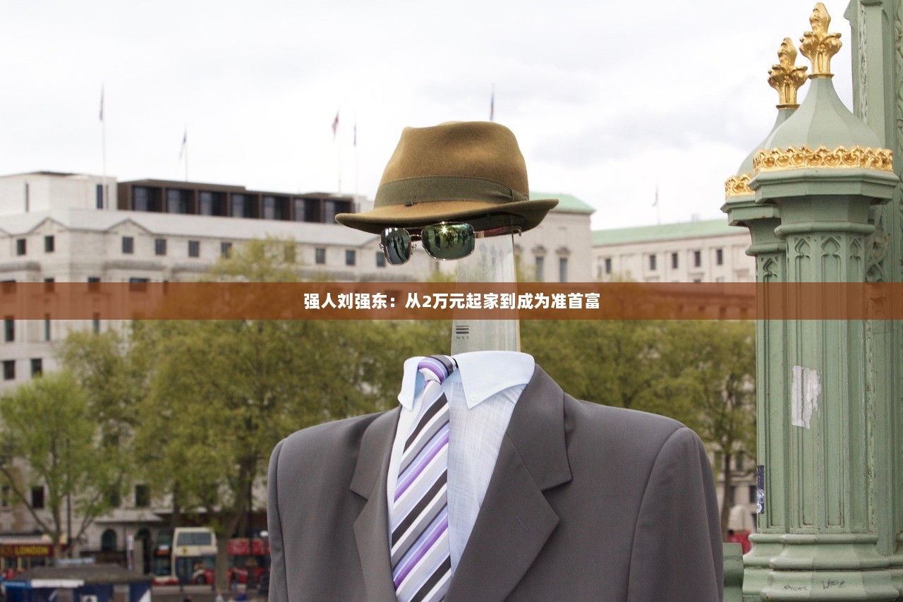 强人刘强东：从2万元起家到成为准首富