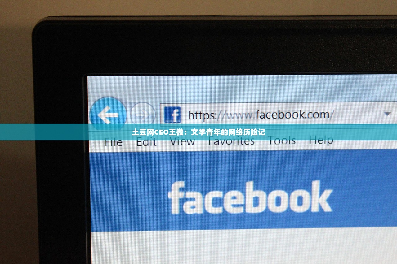 土豆网CEO王微：文学青年的网络历险记