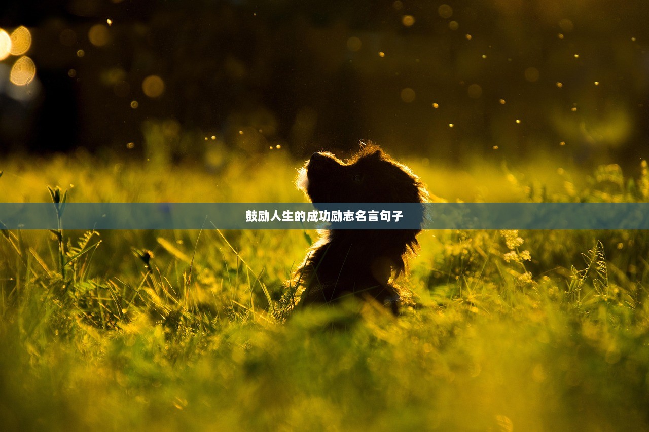 鼓励人生的成功励志名言句子