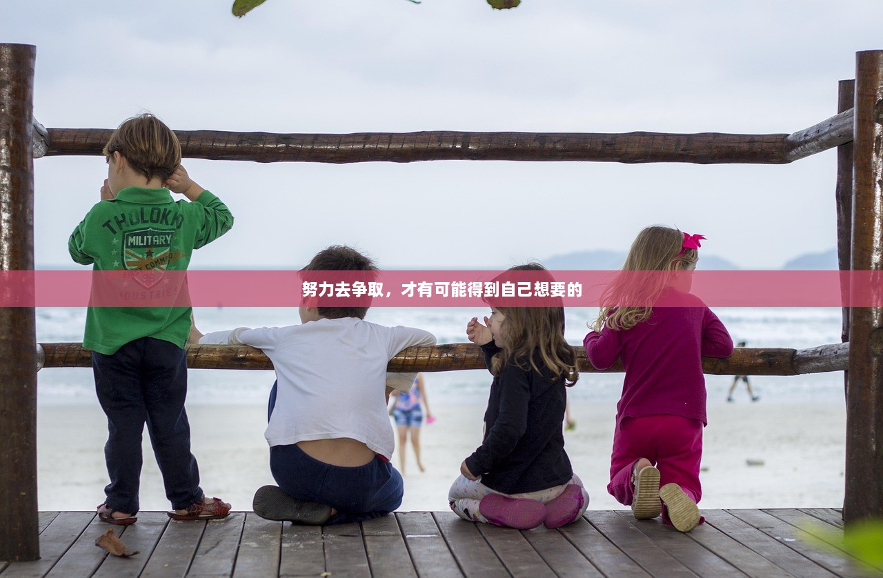 努力去争取，才有可能得到自己想要的