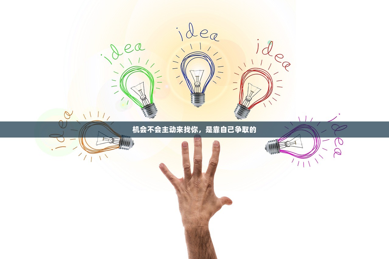 机会不会主动来找你，是靠自己争取的