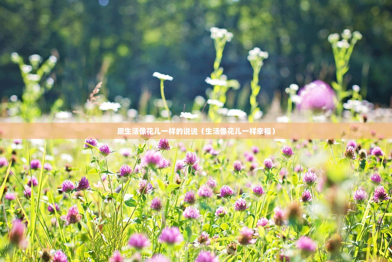 愿生活像花儿一样的说说(生活像花儿一样幸福) 第1张 愿生活像花儿一样的说说(生活像花儿一样幸福) 第1张