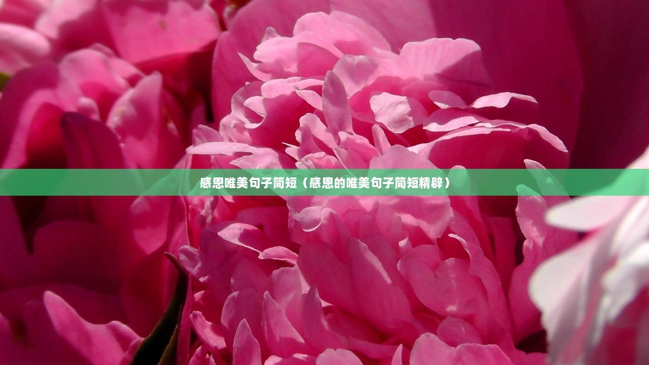 感恩唯美句子简短（感恩的唯美句子简短精辟）  第1张