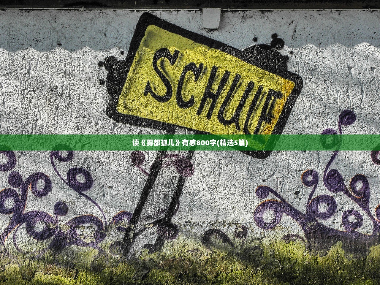 读《雾都孤儿》有感800字(精选5篇)