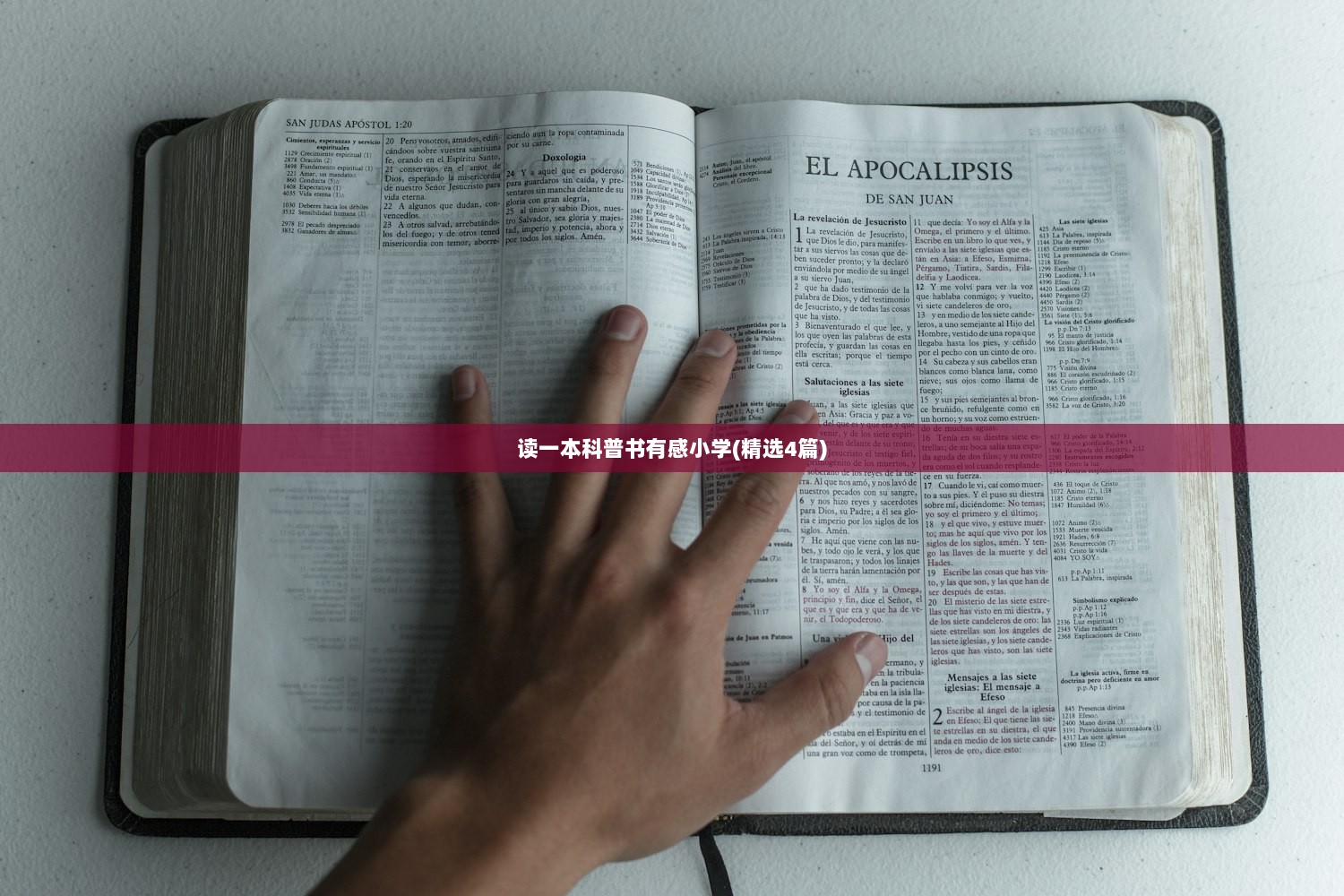 读一本科普书有感小学(精选4篇)