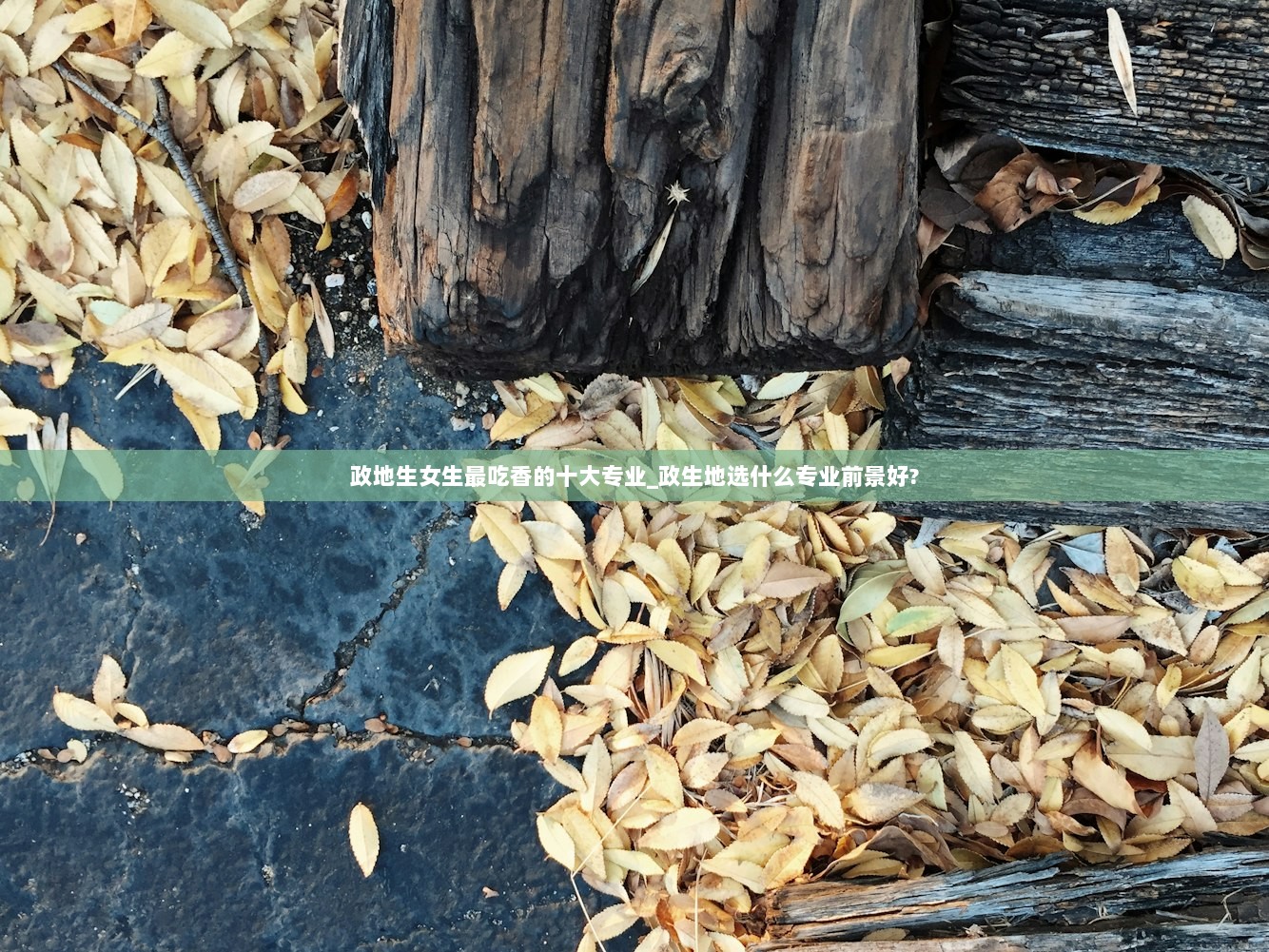 政地生女生最吃香的十大专业_政生地选什么专业前景好?