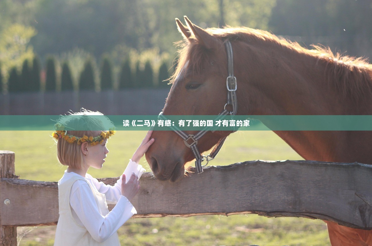 读《二马》有感:有了强的国 才有富的家 第1张 读《二马》有感:有了强的国 才有富的家 第1张