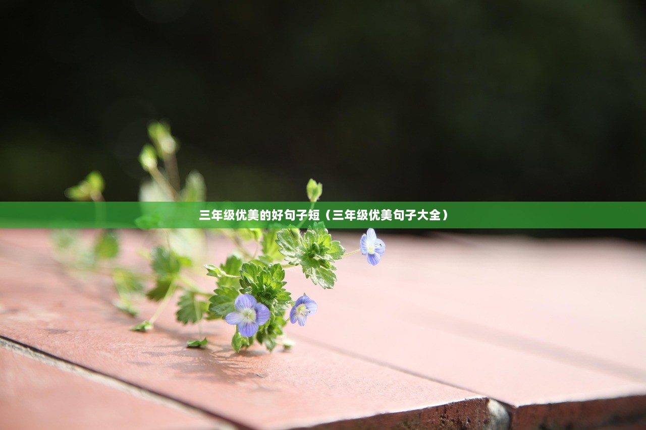 三年级优美的好句子短（三年级优美句子大全）  第1张